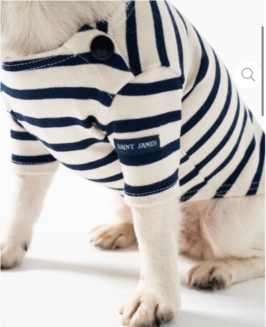 【新品未使用／日本未入荷】セントジェームス 犬服 XXL フランスパビリオン