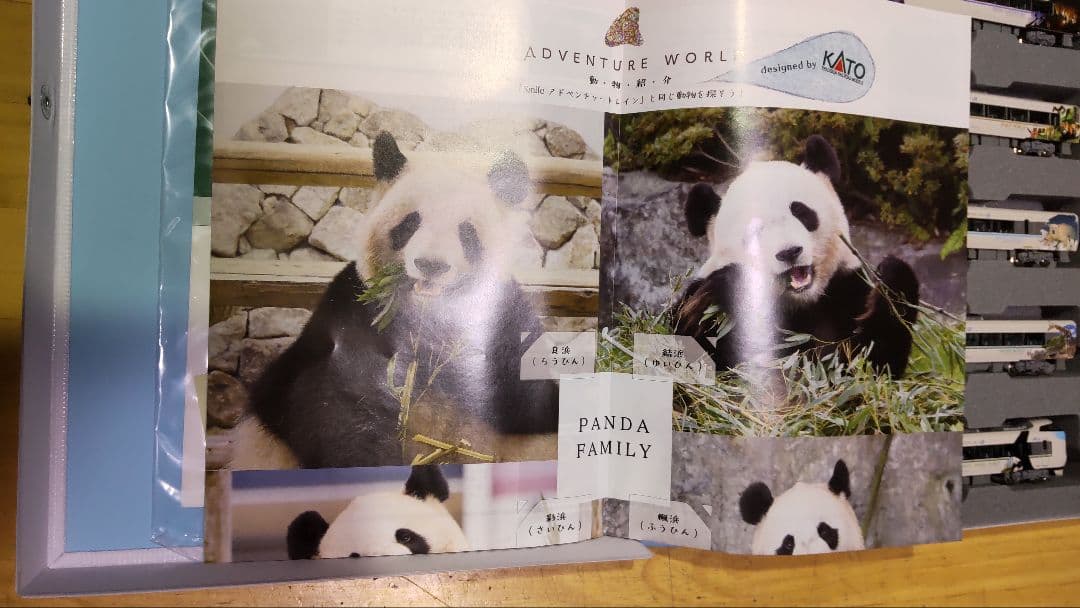 KATO 10-1847 287系パンダくろしお 6両セット