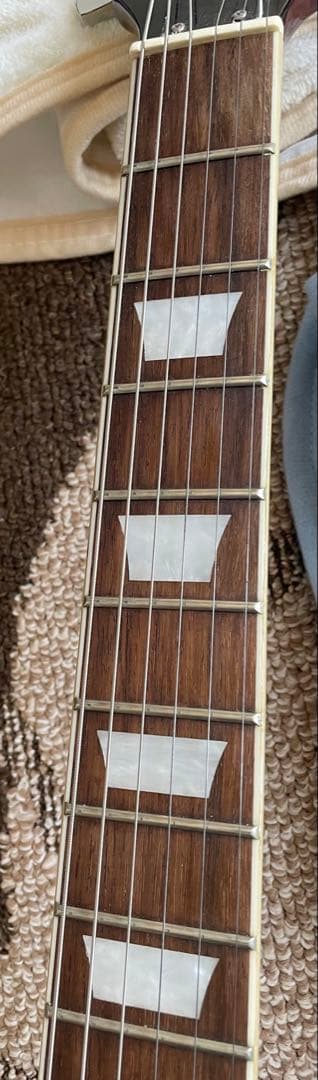 バッカス レスポール Live Road ソフトケース付