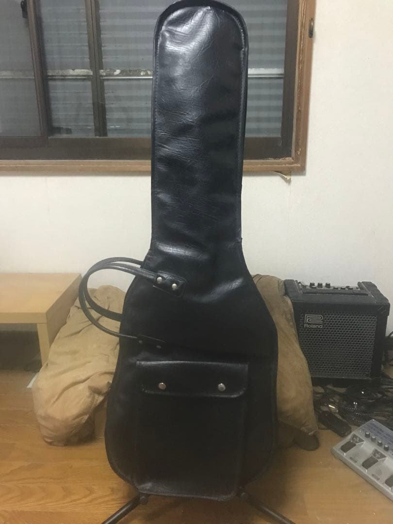 かさ　布袋　ギター　　BOOWYピック2個おまけ　ソフトケース付き