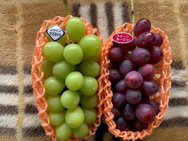 りん様向け商品　　　　クール便送料込み　24,300円