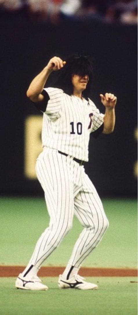 【大特価】日本ハム　ウィンタース　シュー　2個セット