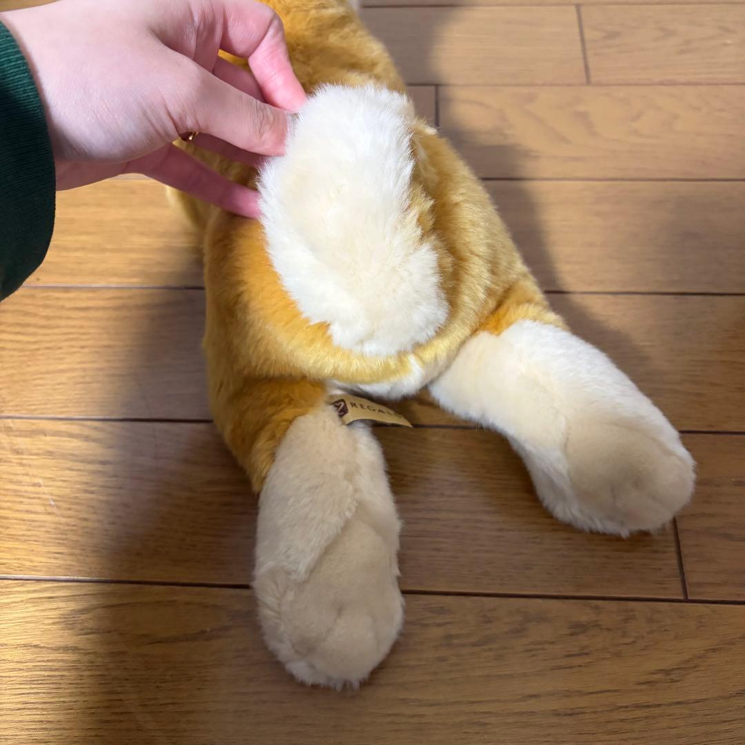 リアルドッグコレクション 柴犬 REGALO レガロ ぬいぐるみ