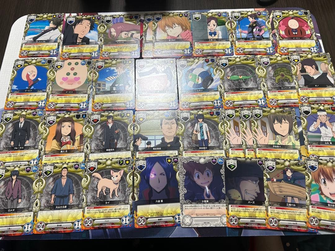 家庭教師ヒットマン REBORN! リボーン CCG ブリアンテ ケース付き