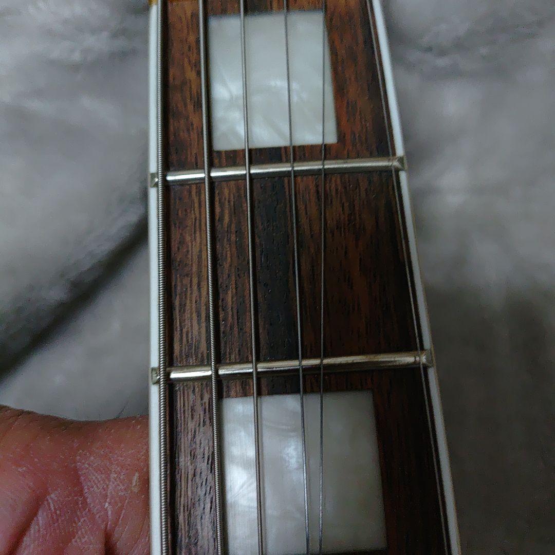 FERNANDES Burry RLC90S サスティナー 黒