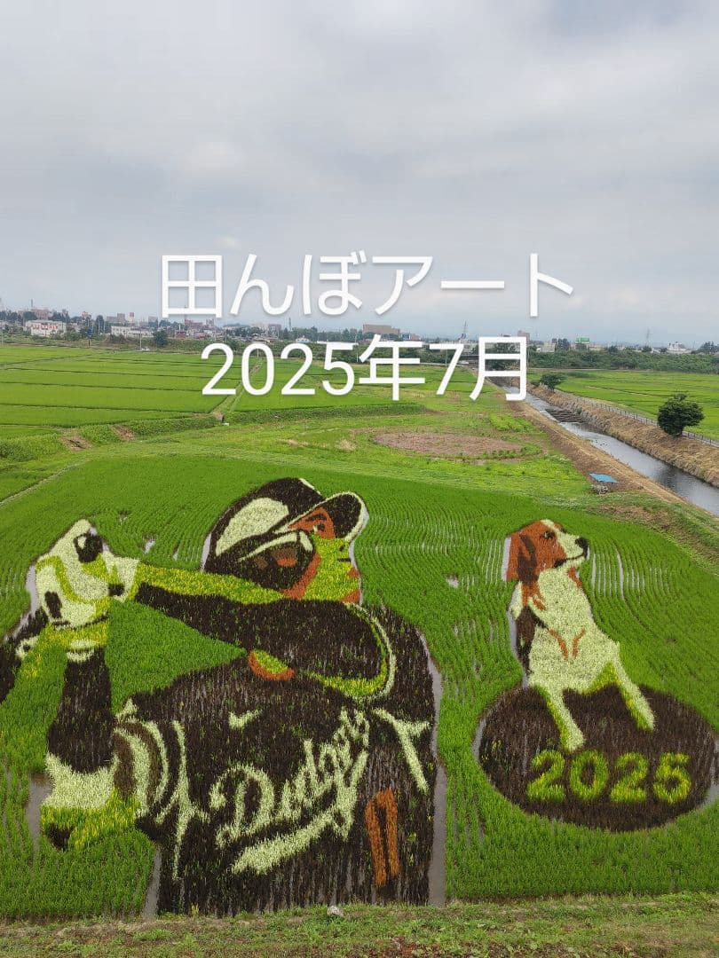 秋新蜜　日本蜜蜂の百花蜜　１年熟成　550ｇ✕4本（2.2kg）