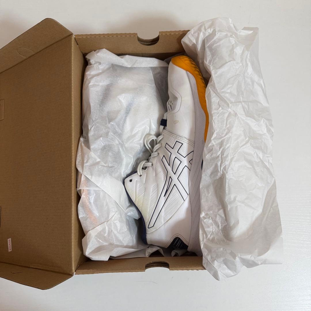 ASICS SKY ELITE FF MT 3 28.0cm 使用期間３ヶ月