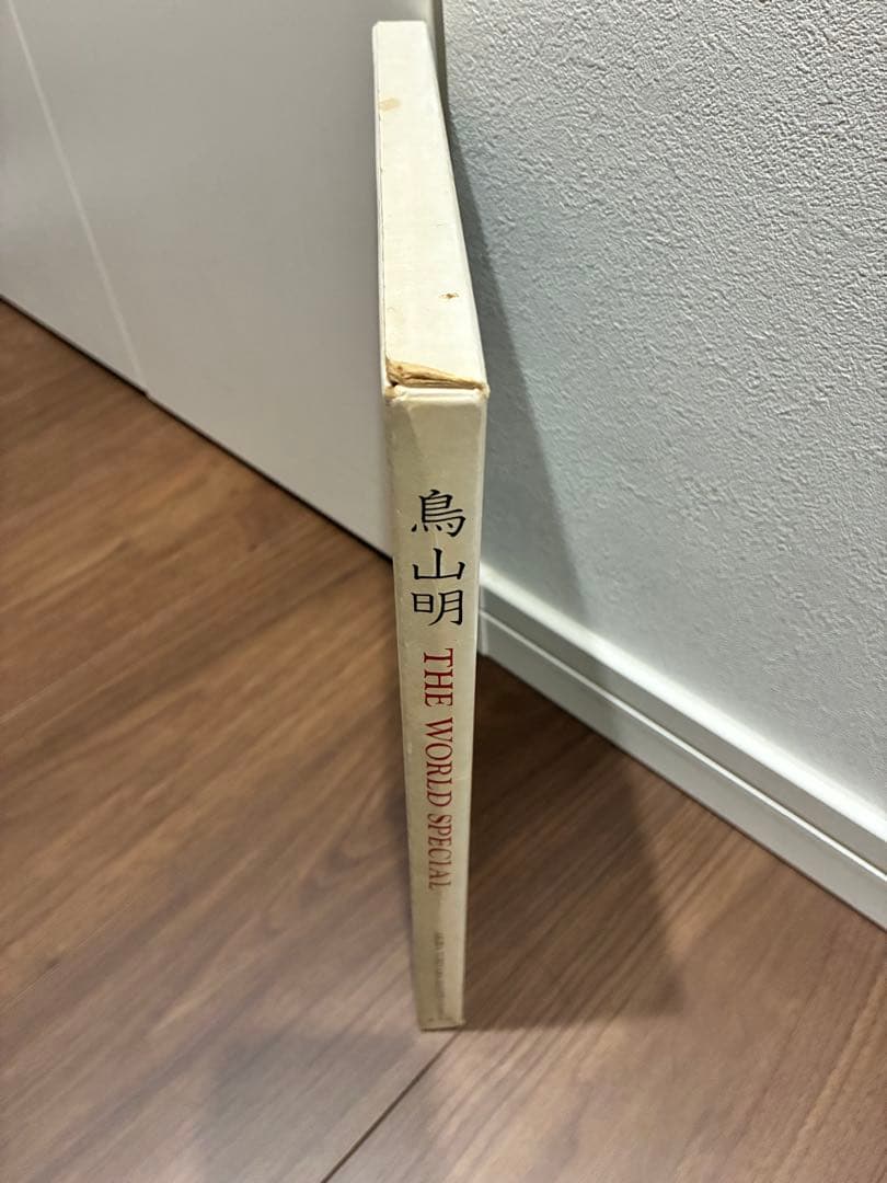 【美品】初版　鳥山明 THE WORLD SPECIAL