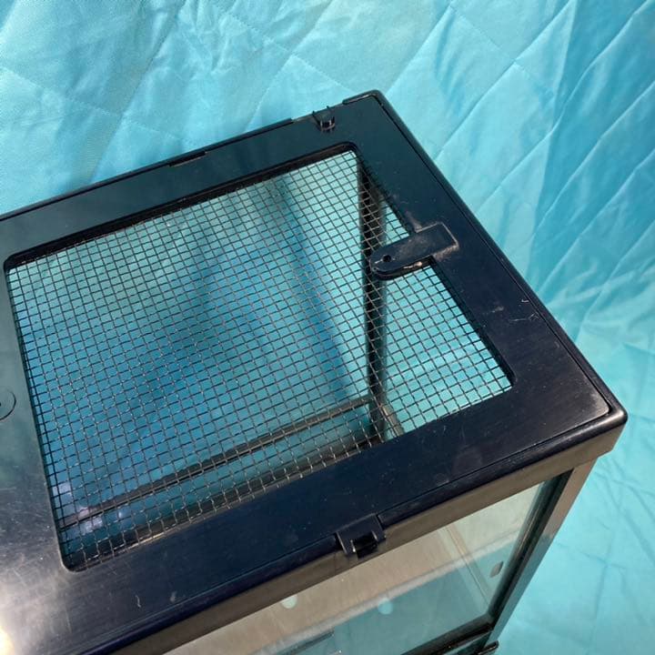 爬虫類　ゲージなど全てセット