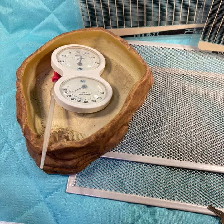 爬虫類　ゲージなど全てセット