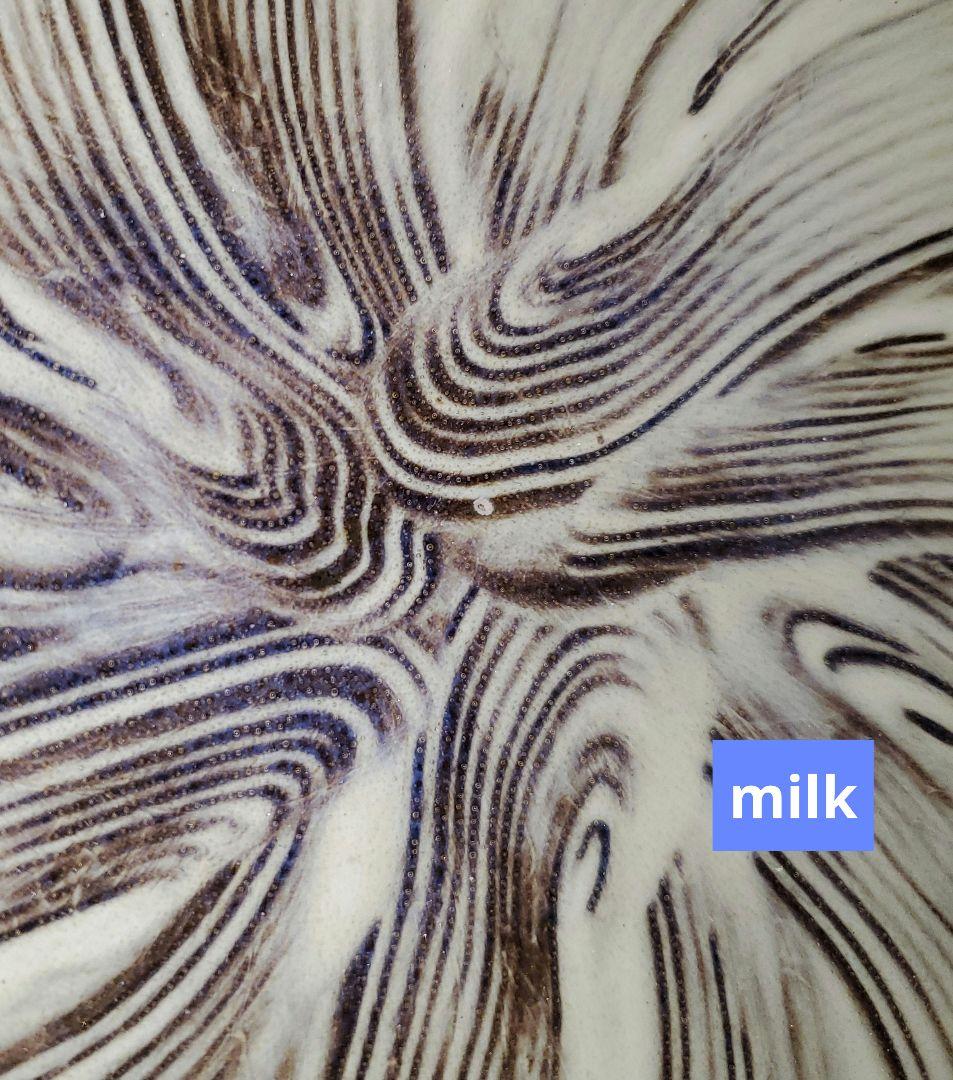 【未使用品】臥牛窯 現川焼 刷毛目 鉢 十三代 横石臥牛