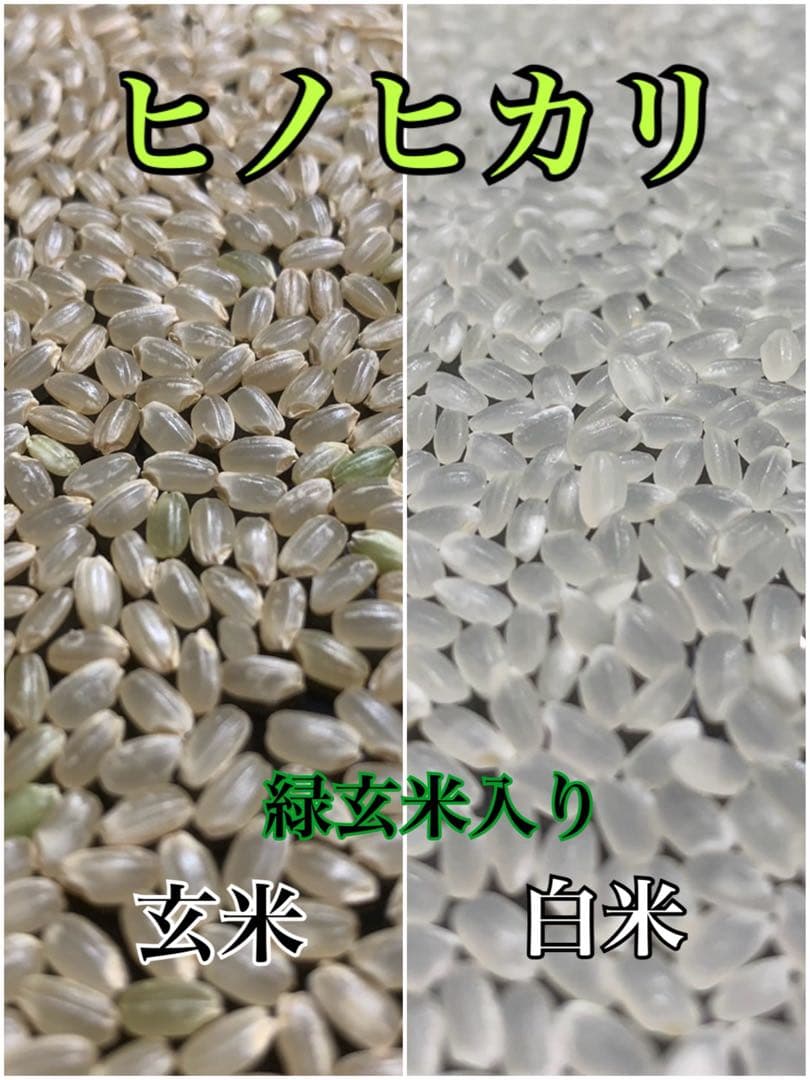 令和7年産 ヒノヒカリ　玄米30キロ 淡路島産 30kg
