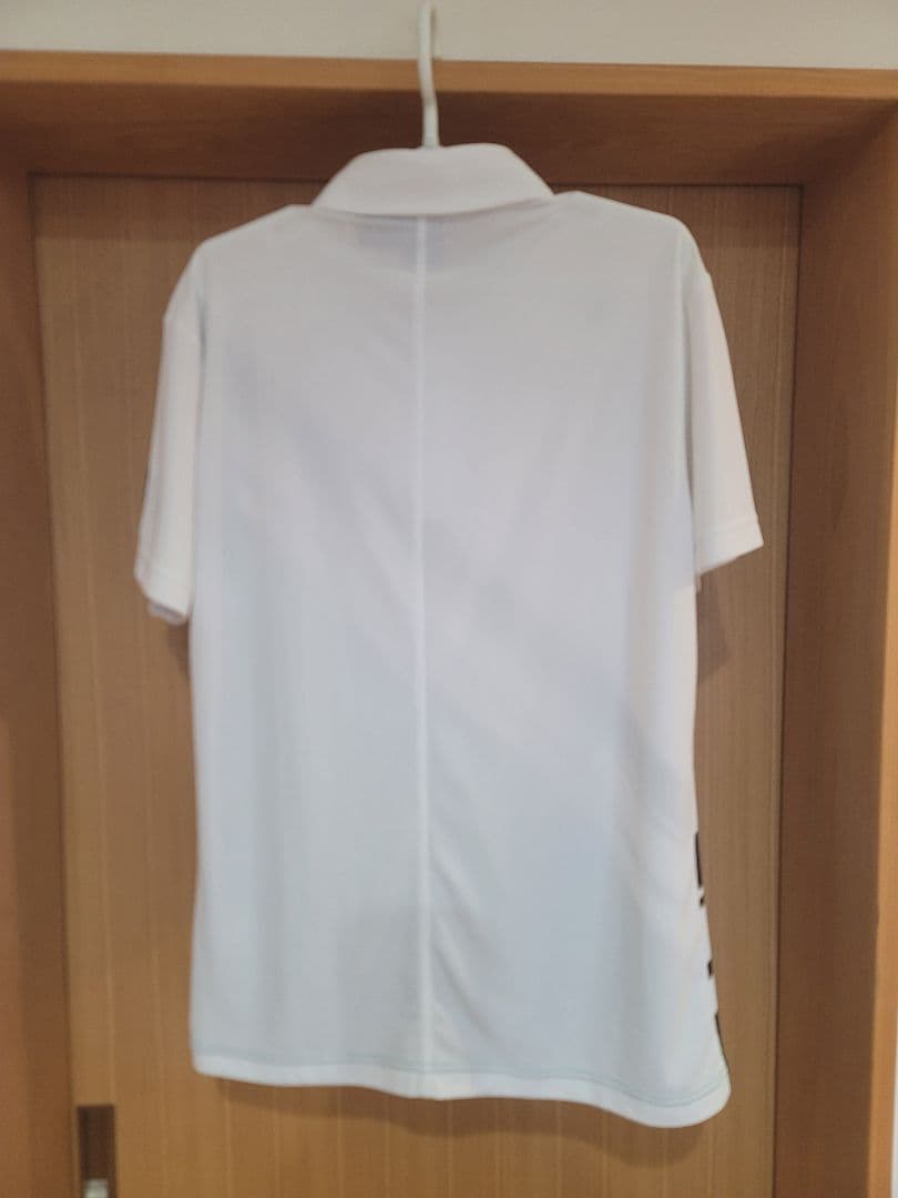 DESCENTE デサント ポロシャツ ゴルフ 希少色 白緑