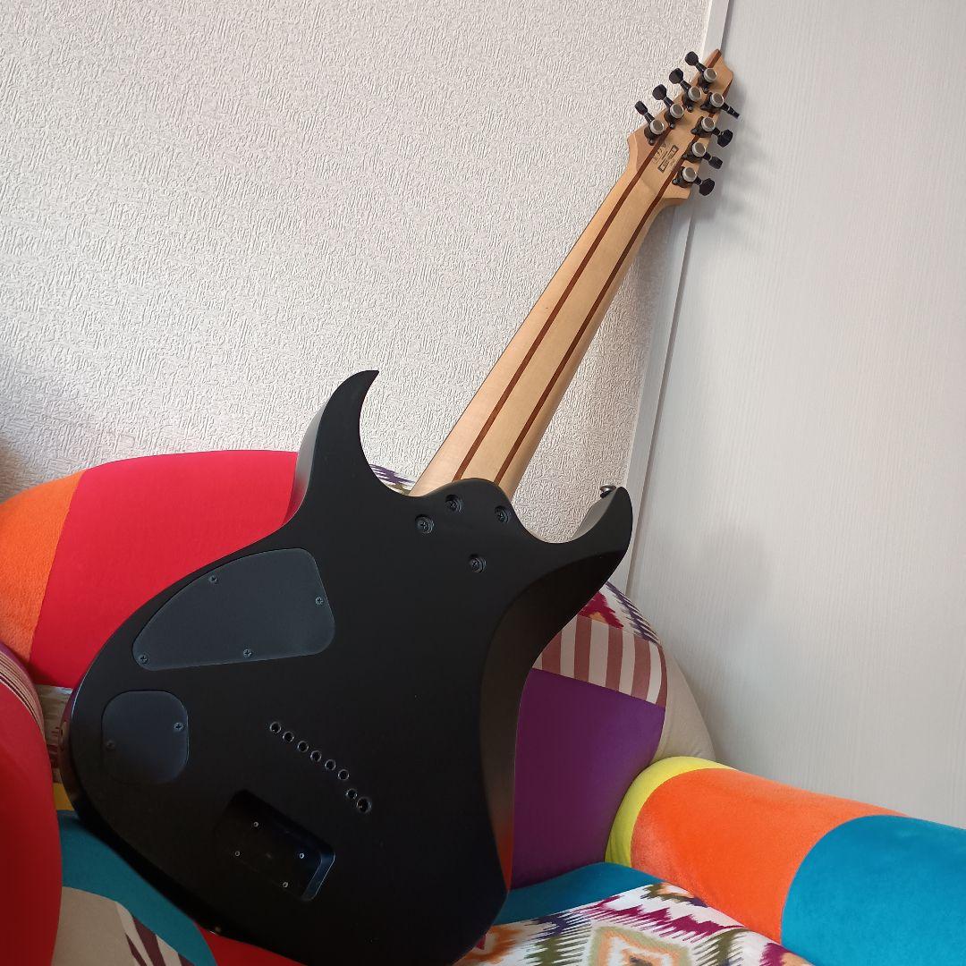 8弦 Ibanez RGIR38BFE strandberg PUに変更