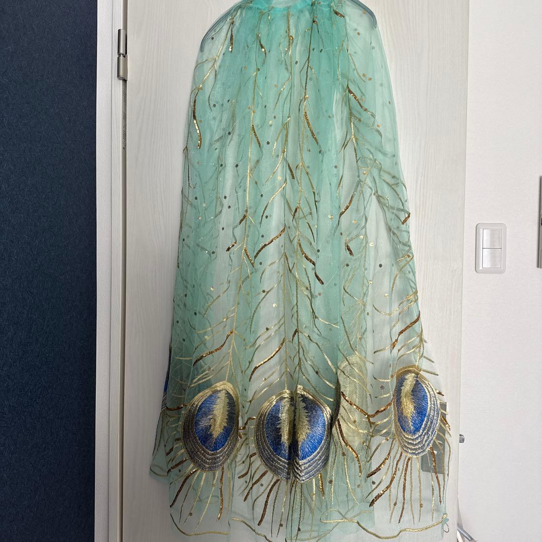 実写ジャスミン 衣装