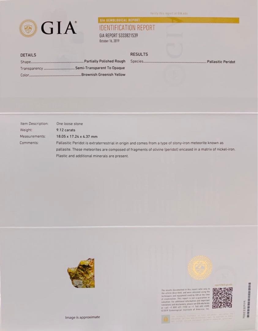 宇宙の流れ星の粉 ✨✨✨⚜隕石⚜✨✨✨ホワイトフェアリーウィッシュ✨✨✨