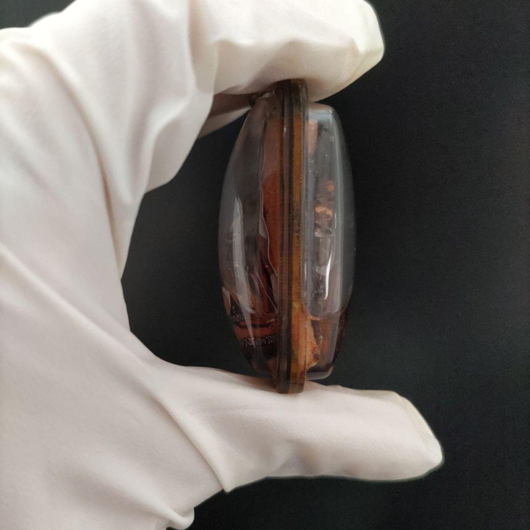 かっぱエビ マジックキングバタフライ タイのお守り プラクルアン