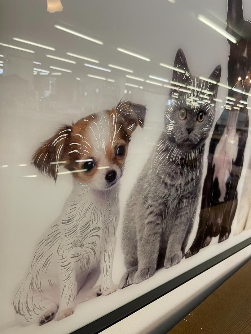 アートパネル　ペット　アニマル　動物　絵画　絵　壁掛け　アート　ガラス　額絵