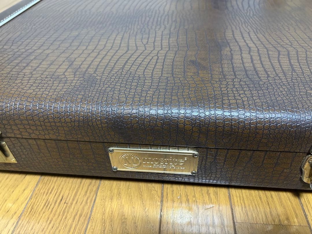 Mosrite Semie Moseley 浮雲　長岡亮介