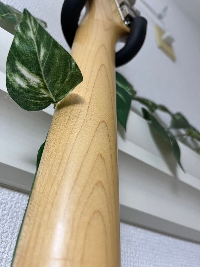 FUJIGEN(FGN) NST11MAH-WB フジゲン 富士弦