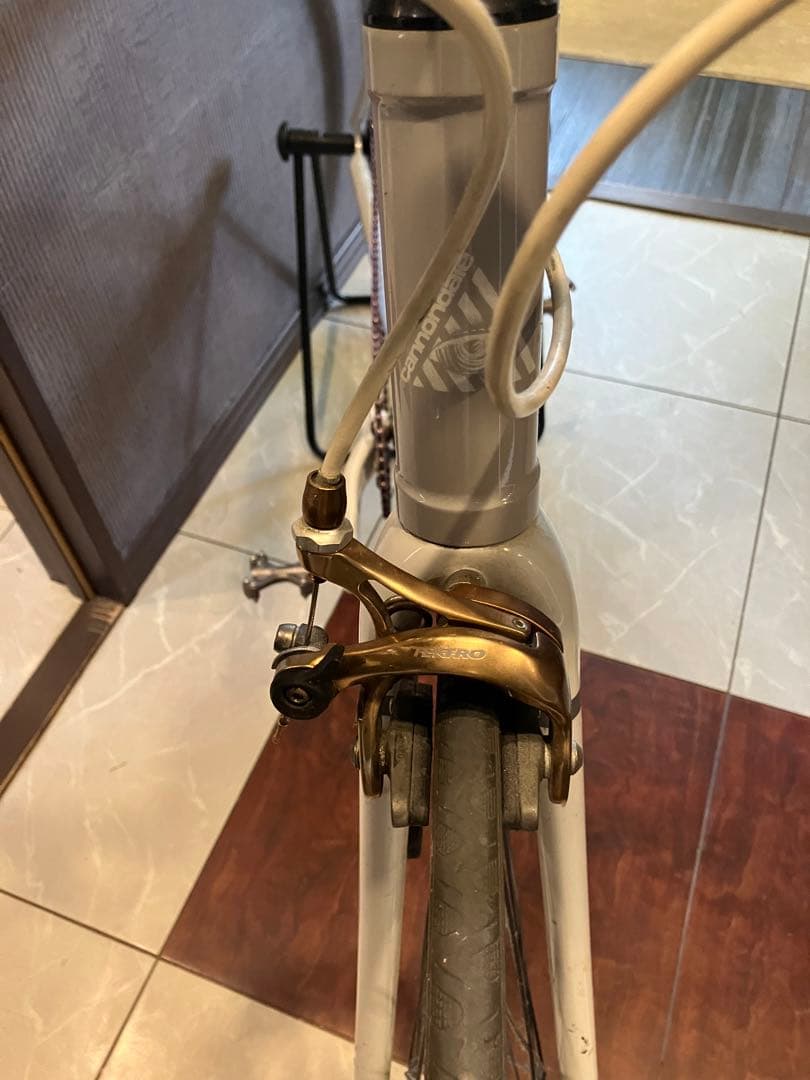 エリマキトカゲさん専用　キャノンデールCAPO