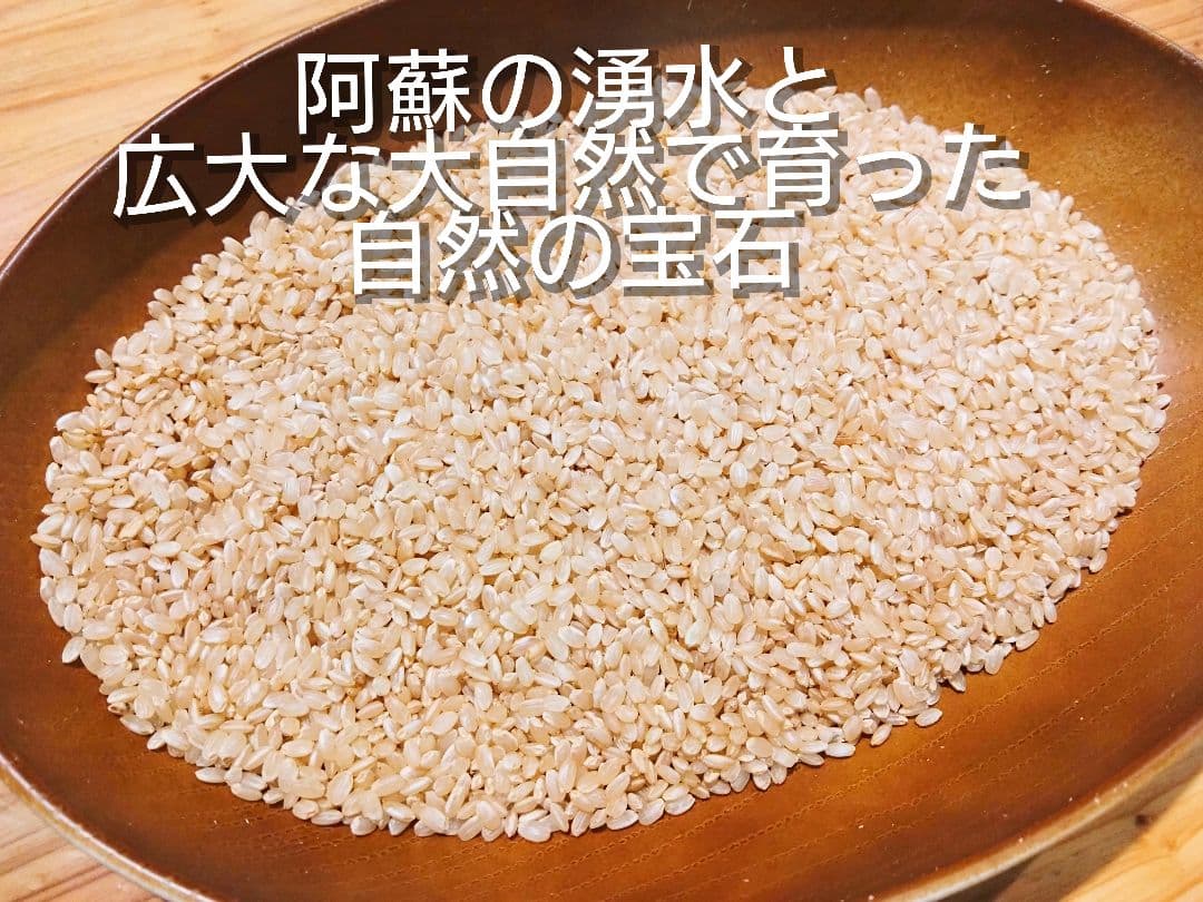 1 令和7年 自然栽培米 亀の尾20kg玄米