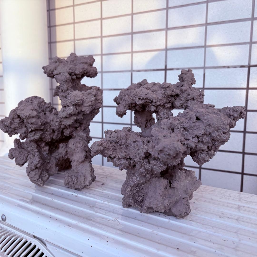 人工ライブロック　2 sets ver