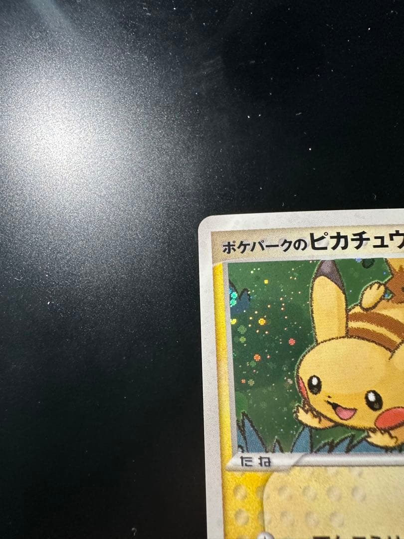 ポケパークのピカチュウ　プレミアムファイル