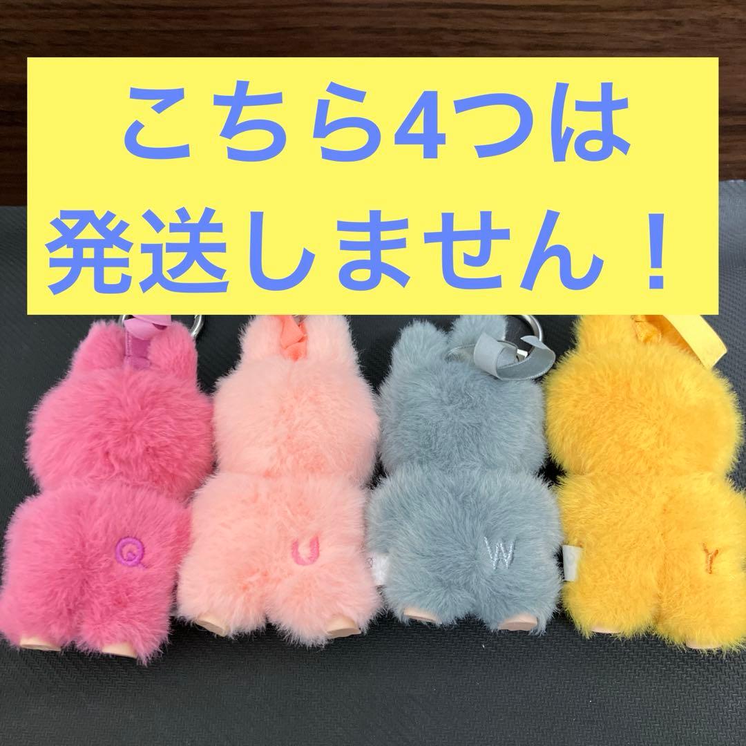 ラブブ　イニシャル　後半　未開封10個セット
