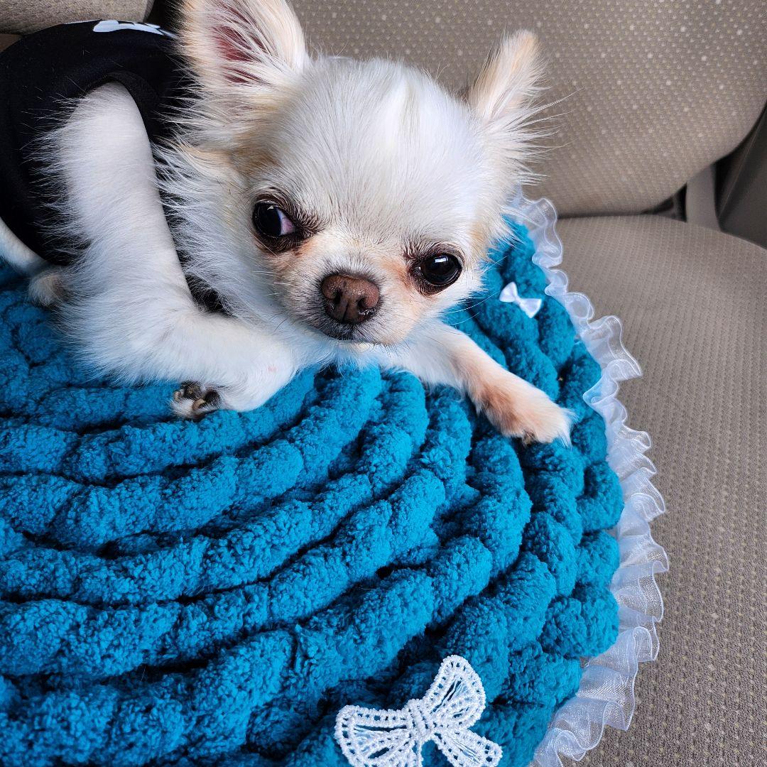 レース付カフェマット  お昼寝マット ペットマット　オーダー承ります