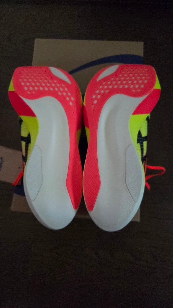 アシックス メタスピード スカイ パリ 26.0cm