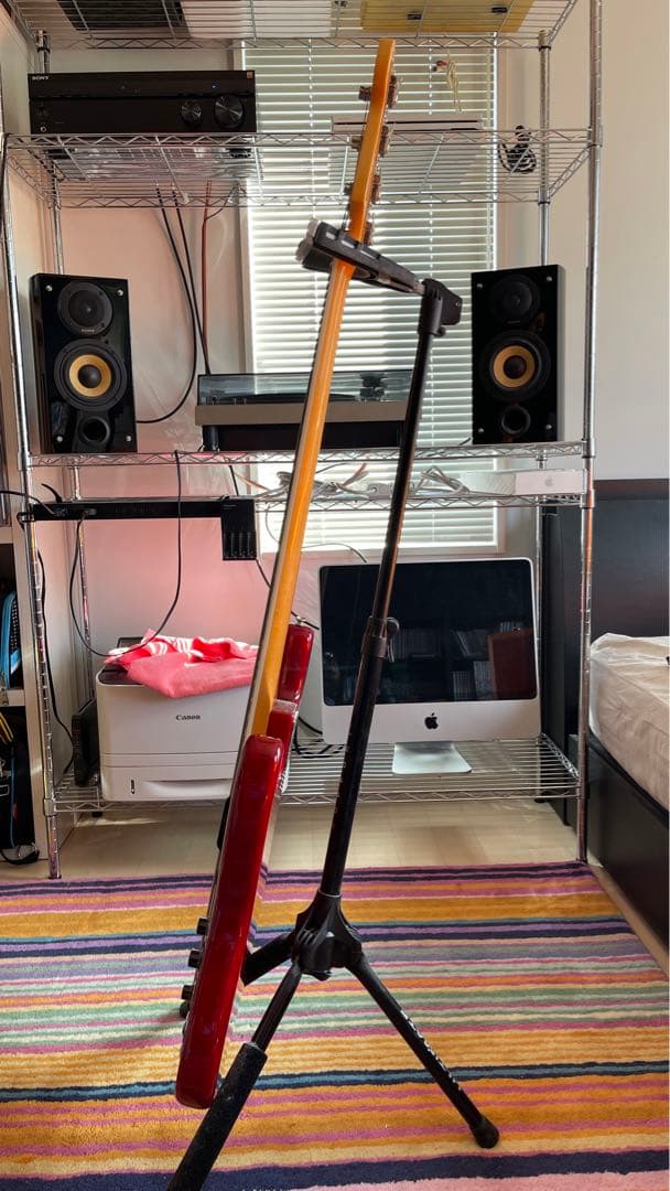 【Fender USA】フェンダー 2019 Limited Edition