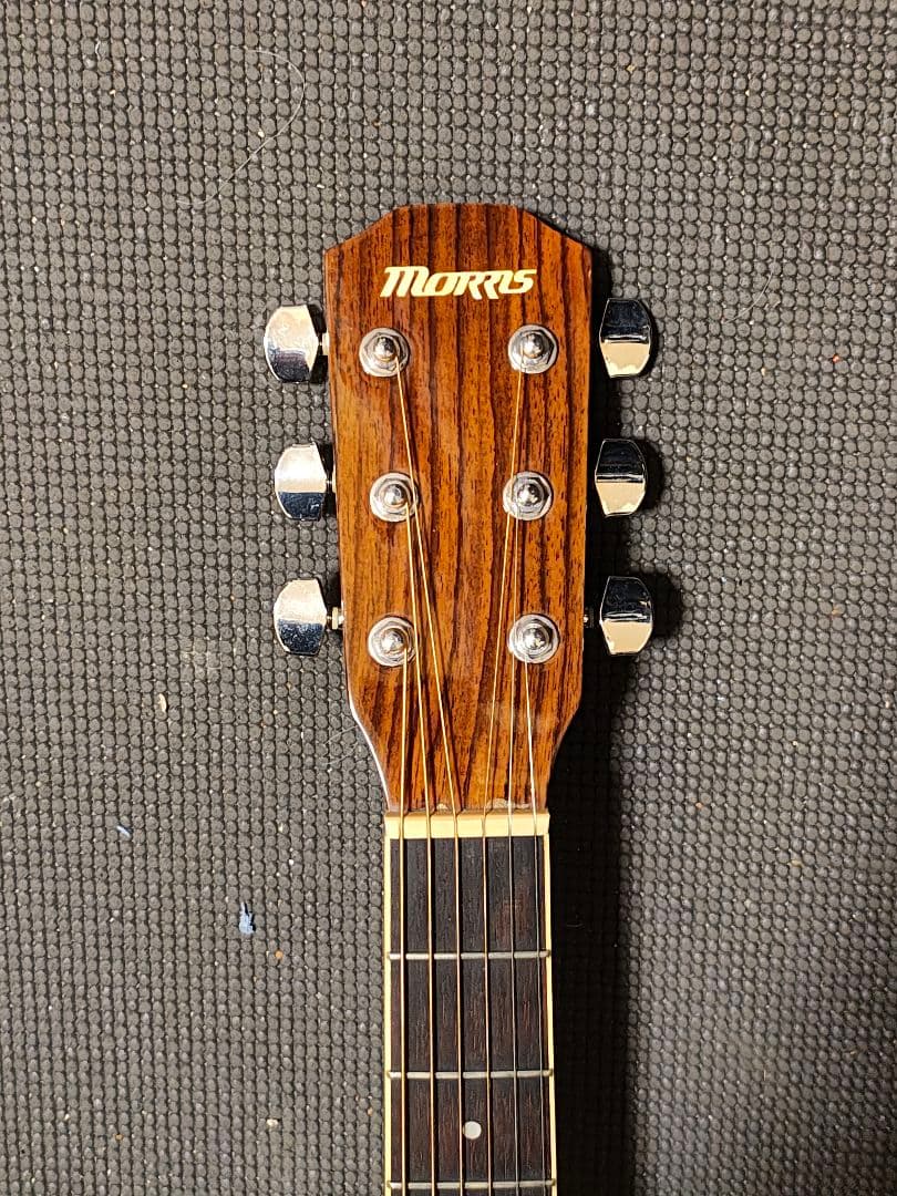 Morris S-20TS/エレアコ ソフトケース付