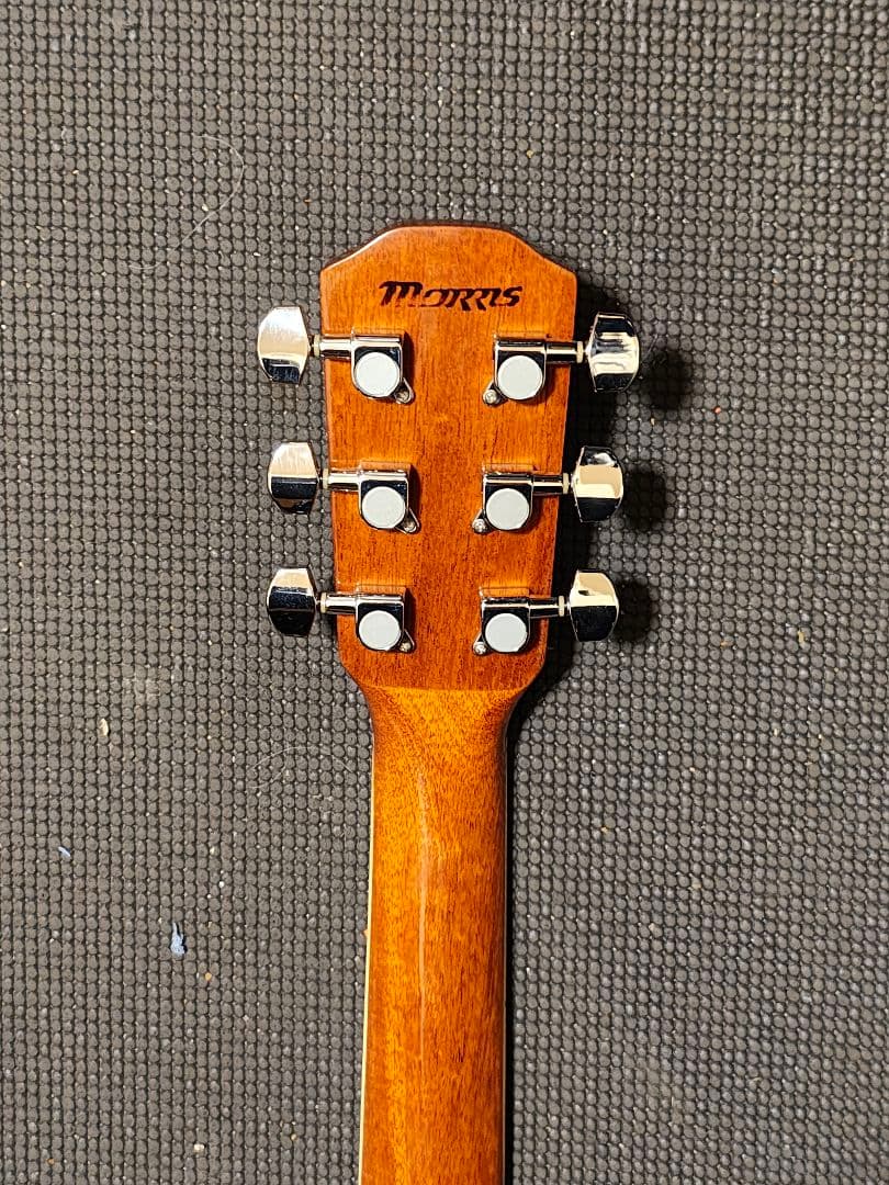 Morris S-20TS/エレアコ ソフトケース付