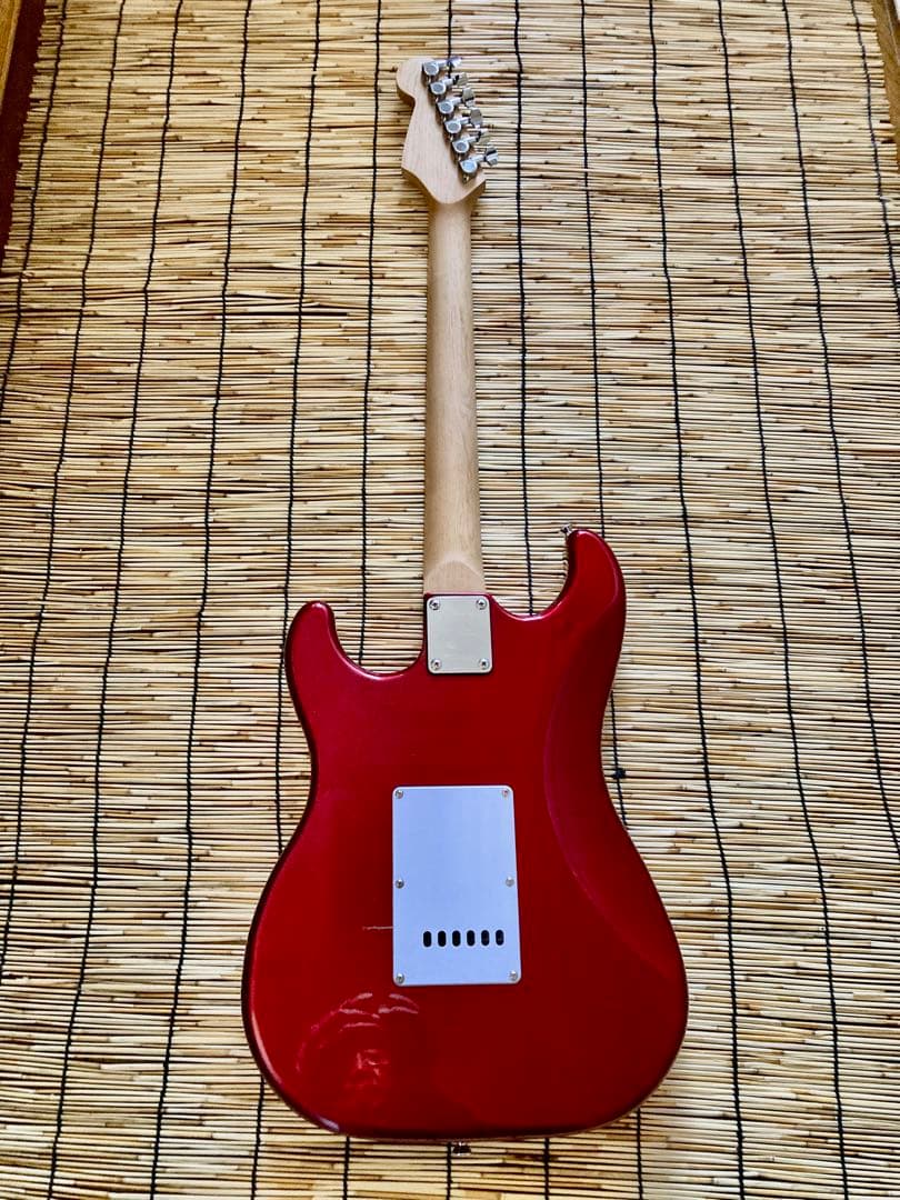 ☆美品　新機能満載　モディファイしたVanguard ST