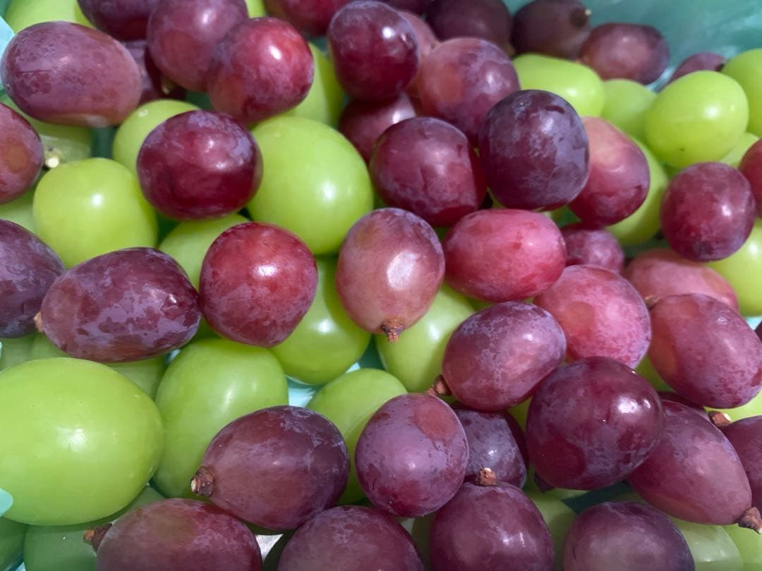 ③信州シャインマスカットお任せボックス2キロ以上