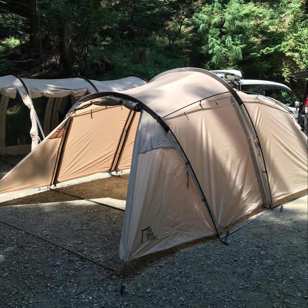 【訳あり】サバティカル ギリア sabbatical gilia 値段交渉可