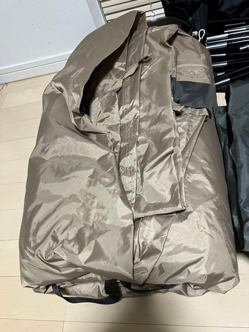 【訳あり】サバティカル ギリア sabbatical gilia 値段交渉可