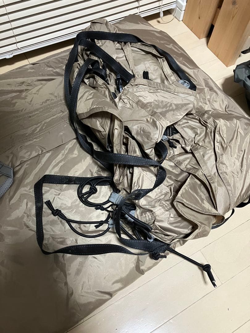 【訳あり】サバティカル ギリア sabbatical gilia 値段交渉可