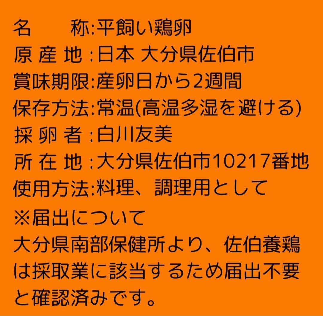160個入　佐伯養鶏の朝採れ平飼い卵　大分県産