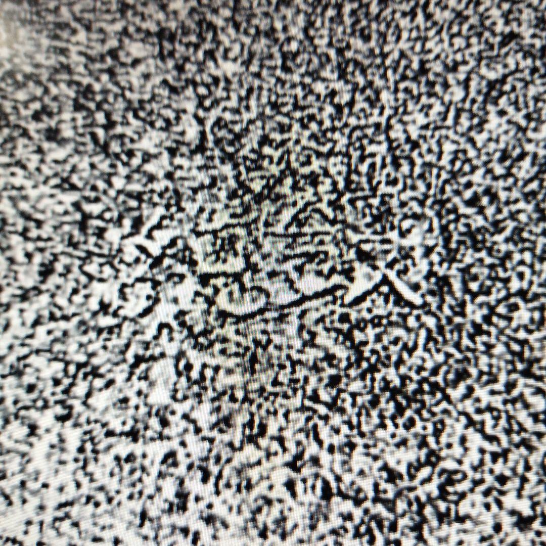 イチゴです　　　 栞２本と小判のセット