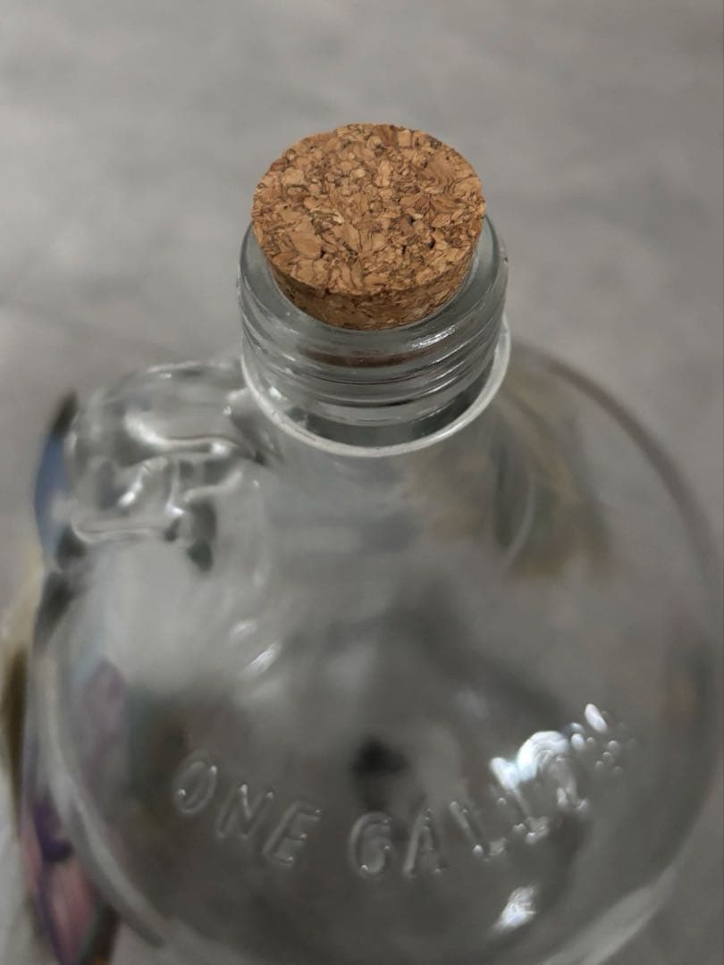 カールじいさん空飛ぶ家　貯金箱