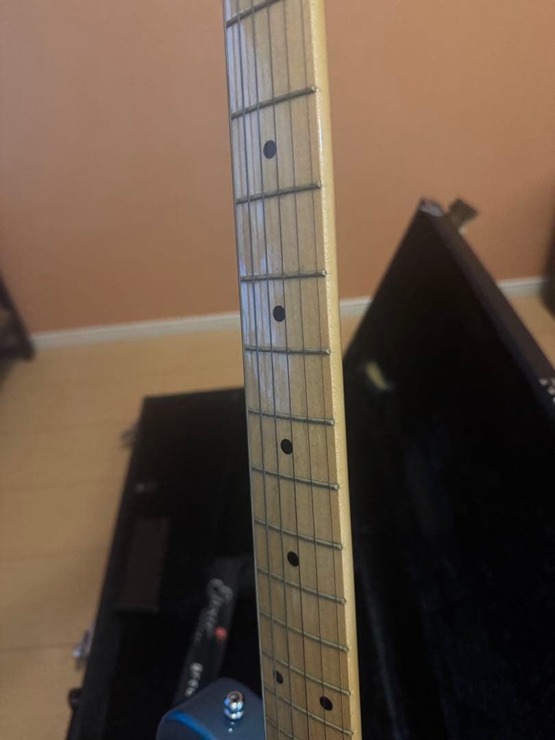 ギター Fender Japan Blue Flower Telecaster