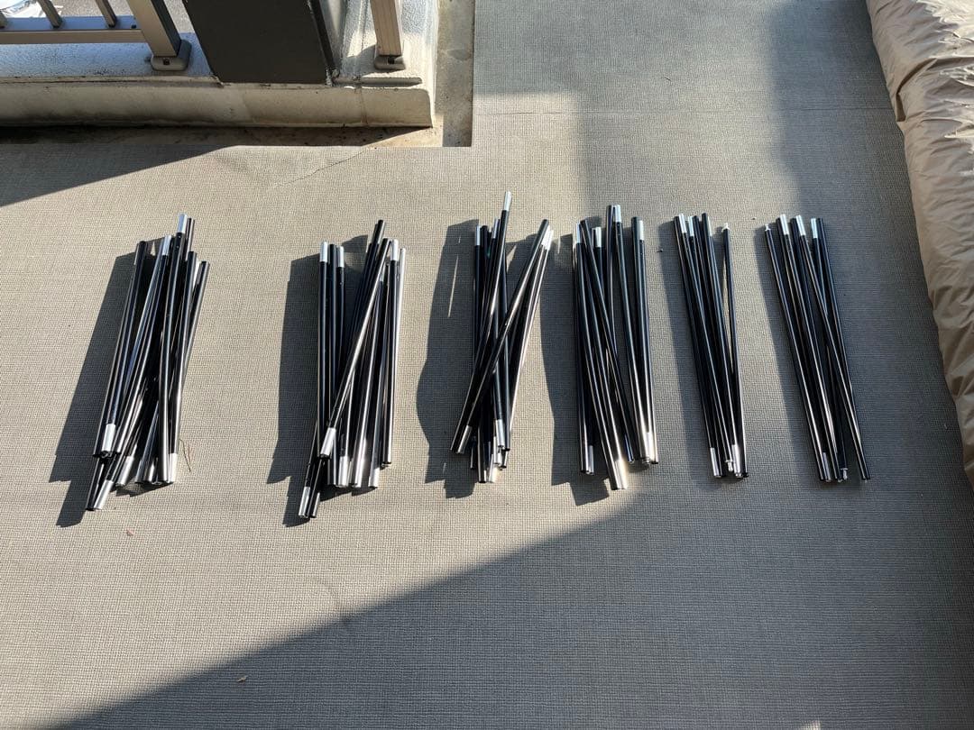 抽選品 大人気 美品 サバティカル アルニカ