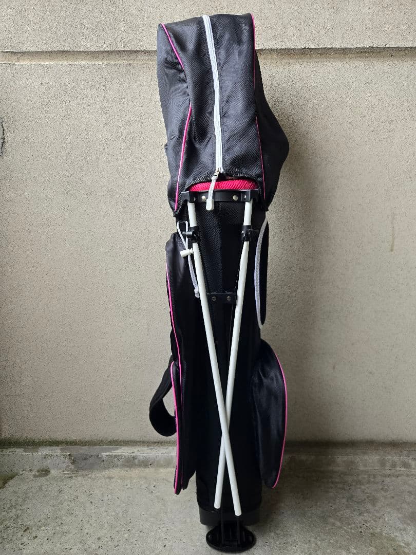 ワールドイーグル　FL-01 V2　レディースゴルフ10本セット　FLEX-L