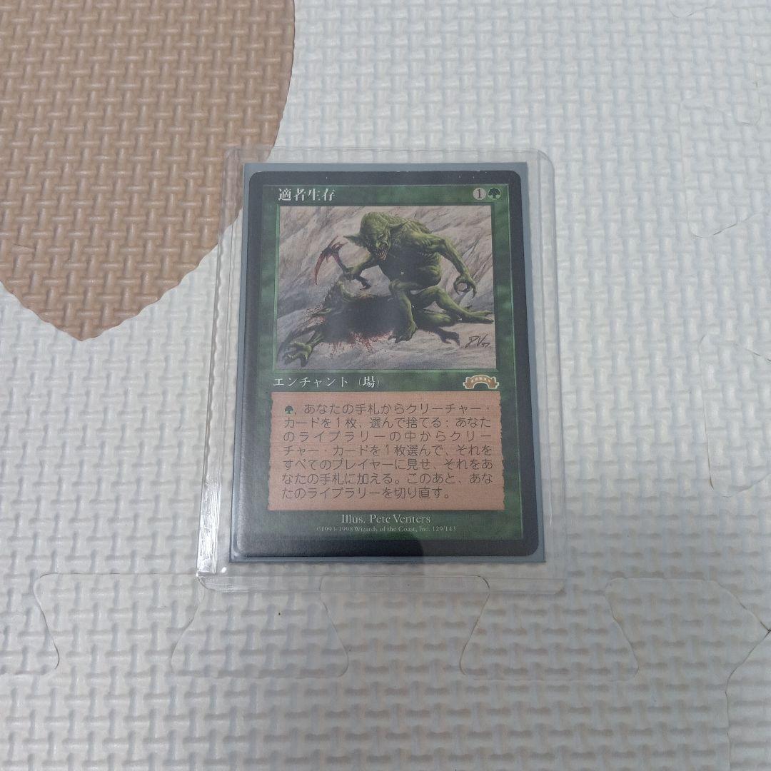 ※ラスト1枚【再録禁止カード】適者生存 EXO版 日本語版