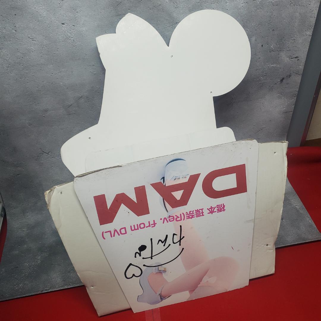 非売品【販促用 等身大ポップ】 橋本環奈 DAM