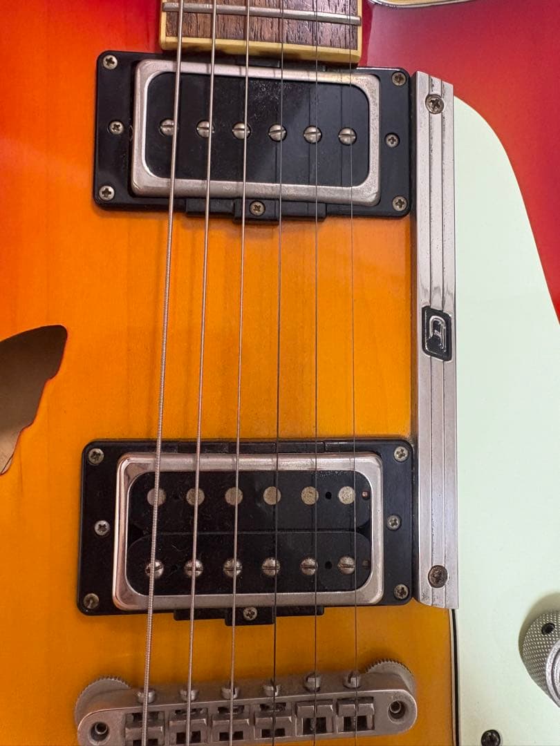 ギター Duesenberg DDC-FB Double Cat Fire Burst