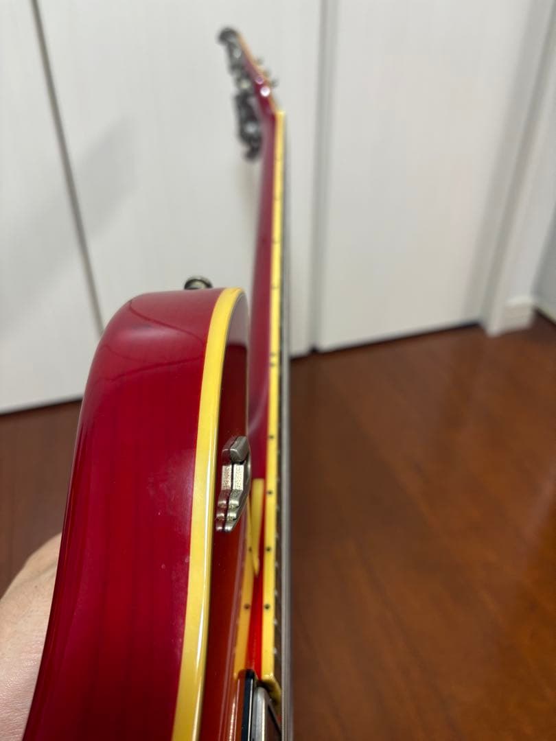 ギター Duesenberg DDC-FB Double Cat Fire Burst