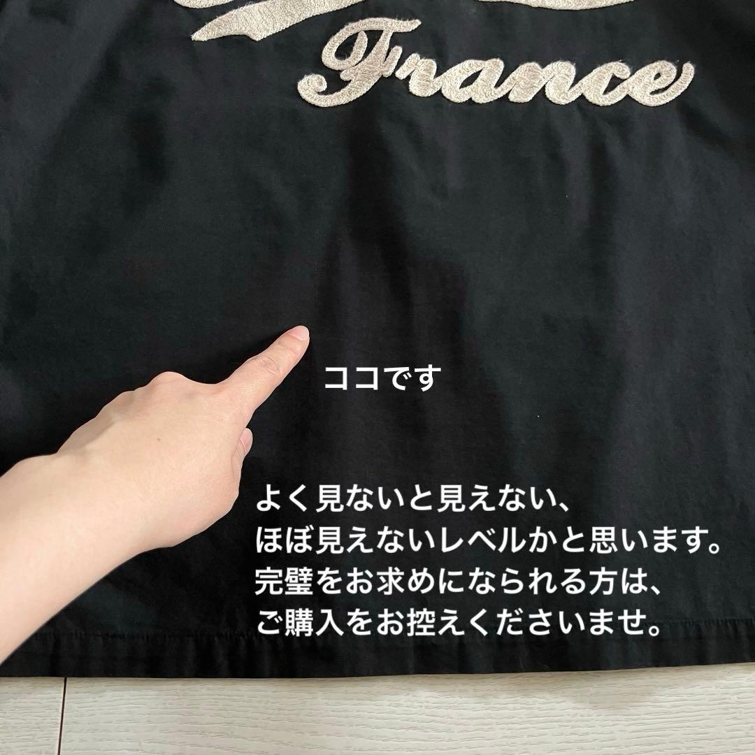 レア美品✨オープンカラー エヴィス 開衿 ボウリングシャツ 半袖 刺繍